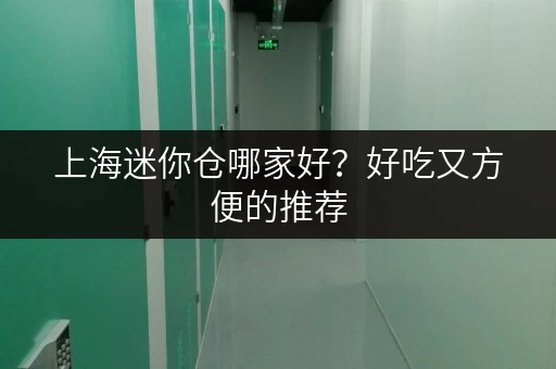上海迷你仓哪家好？好吃又方便的推荐