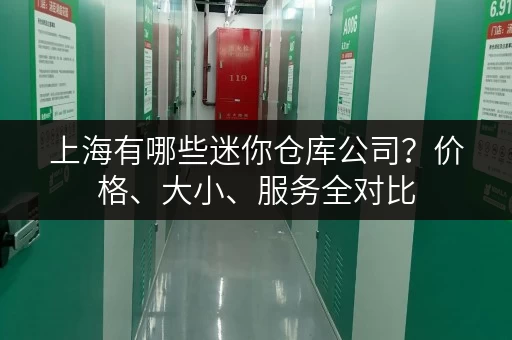 上海有哪些迷你仓库公司？价格、大小、服务全对比