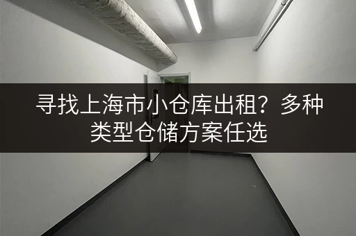 寻找上海市小仓库出租？多种类型仓储方案任选