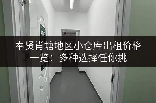 奉贤肖塘地区小仓库出租价格一览：多种选择任你挑