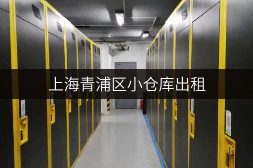 上海青浦区小仓库出租，低价好房源推荐，满足您各种仓储需求！