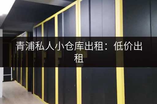 青浦私人小仓库出租：低价出租，方便快捷，解决您的仓储难题！