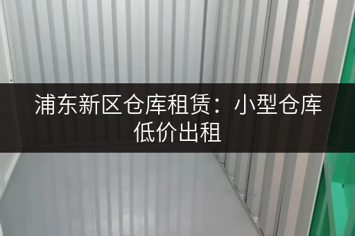 浦东新区仓库租赁：小型仓库低价出租，适合个人和小型企业