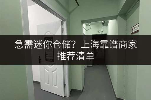 急需迷你仓储？上海靠谱商家推荐清单