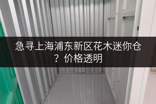 急寻上海浦东新区花木迷你仓？价格透明，安全可靠！