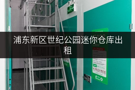 浦东新区世纪公园迷你仓库出租，低价高质好选择！