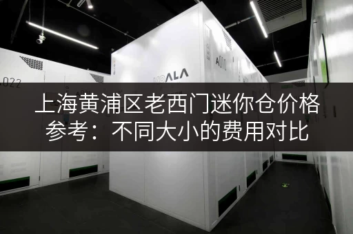 上海黄浦区老西门迷你仓价格参考：不同大小的费用对比