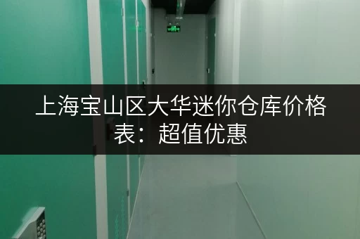 上海宝山区大华迷你仓库价格表：超值优惠，满足各种需求