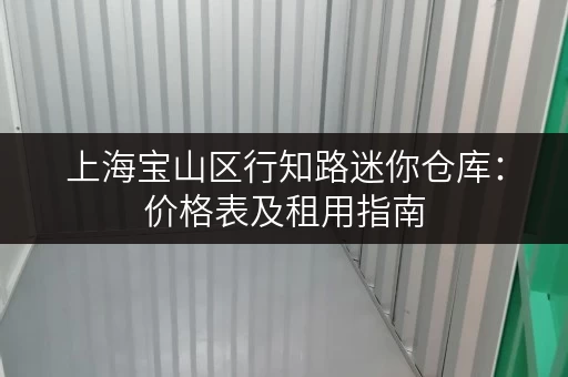 上海宝山区行知路迷你仓库：价格表及租用指南