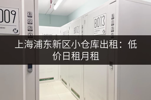 上海浦东新区小仓库出租：低价日租月租，灵活选择！