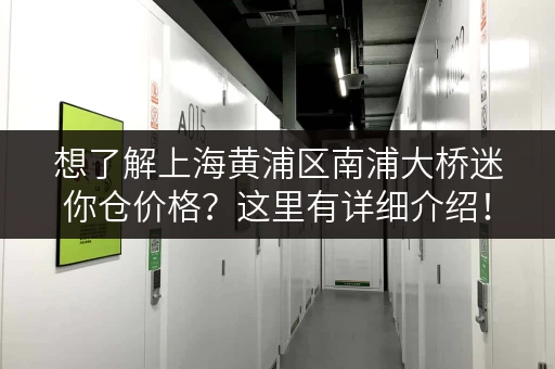 想了解上海黄浦区南浦大桥迷你仓价格？这里有详细介绍！