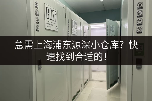 急需上海浦东源深小仓库？快速找到合适的！