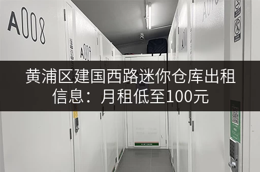 黄浦区建国西路迷你仓库出租信息：月租低至100元，空间灵活