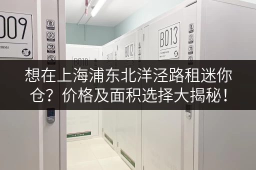 想在上海浦东北洋泾路租迷你仓？价格及面积选择大揭秘！