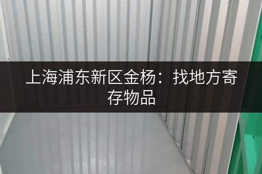 上海浦东新区金杨：找地方寄存物品，方便快捷！