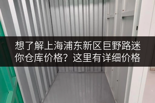 想了解上海浦东新区巨野路迷你仓库价格？这里有详细价格表