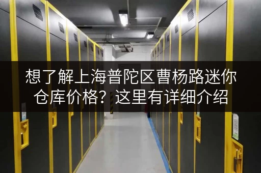 想了解上海普陀区曹杨路迷你仓库价格？这里有详细介绍