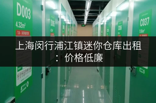 上海闵行浦江镇迷你仓库出租：价格低廉，空间灵活