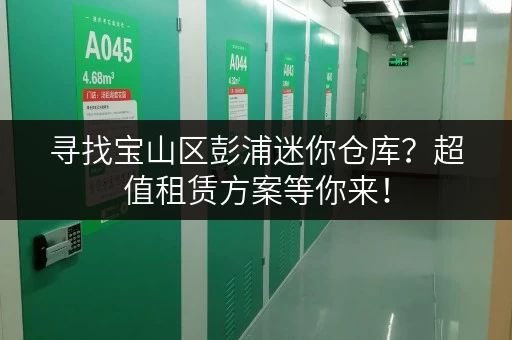 寻找宝山区彭浦迷你仓库？超值租赁方案等你来！