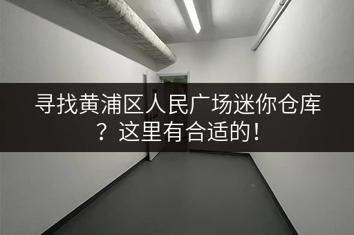 寻找黄浦区人民广场迷你仓库？这里有合适的！