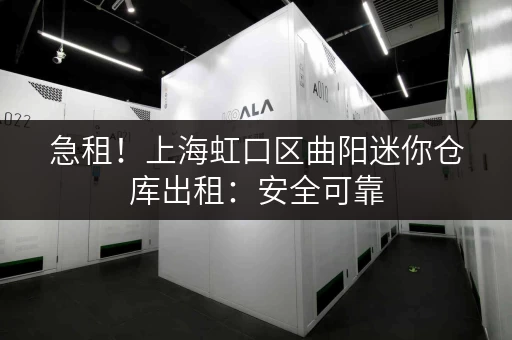 急租！上海虹口区曲阳迷你仓库出租：安全可靠，拎包入住