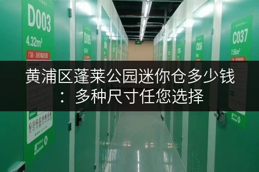 黄浦区蓬莱公园迷你仓多少钱：多种尺寸任您选择