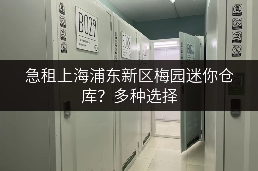 急租上海浦东新区梅园迷你仓库？多种选择，立即联系！