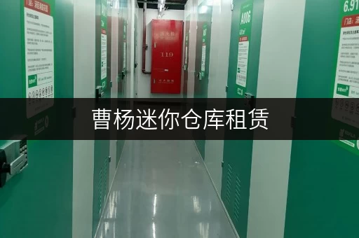 曹杨迷你仓库租赁，普陀区优质仓储空间，月租低至150元