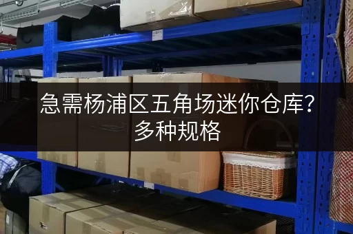 急需杨浦区五角场迷你仓库？多种规格，立即咨询！