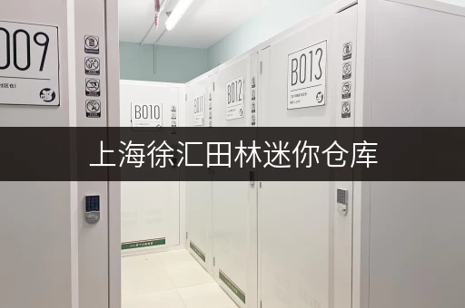 上海徐汇田林迷你仓库，解决您的仓储难题，高效省心