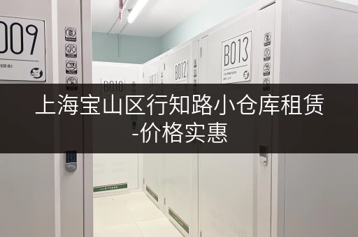 上海宝山区行知路小仓库租赁-价格实惠，位置优越