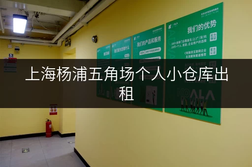 上海杨浦五角场个人小仓库出租，安全可靠，适合多种需求