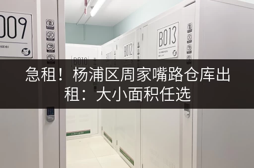 急租！杨浦区周家嘴路仓库出租：大小面积任选，拎包入住！
