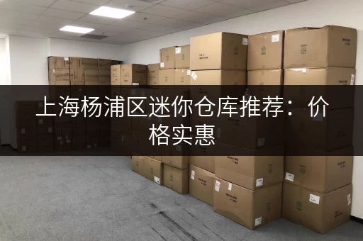 上海杨浦区迷你仓库推荐：价格实惠，安全可靠！