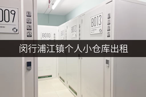 闵行浦江镇个人小仓库出租，多种面积选择，月租低至百元！