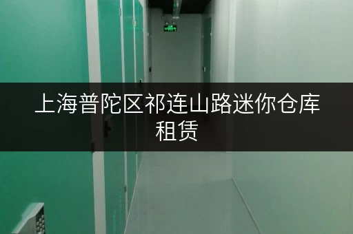 上海普陀区祁连山路迷你仓库租赁，满足您各种存储需求