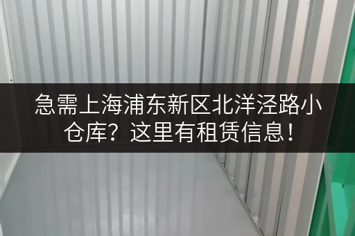 急需上海浦东新区北洋泾路小仓库？这里有租赁信息！