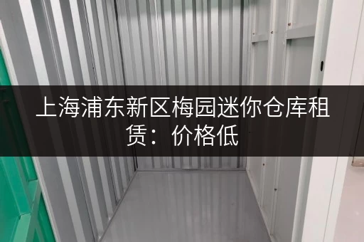 上海浦东新区梅园迷你仓库租赁：价格低，空间灵活，方便快捷！