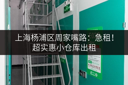 上海杨浦区周家嘴路：急租！超实惠小仓库出租，价格面议！