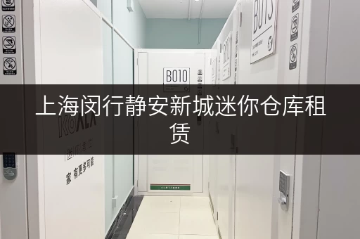 上海闵行静安新城迷你仓库租赁，日租月租，任您选择