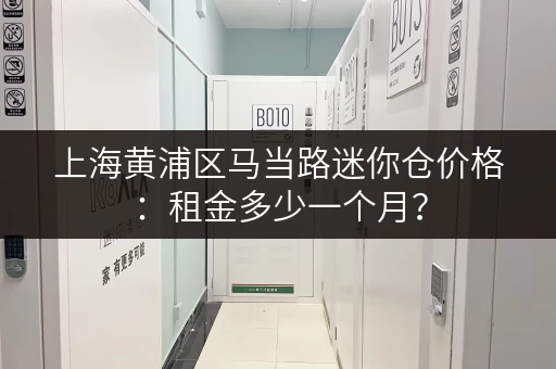 上海黄浦区马当路迷你仓价格：租金多少一个月？