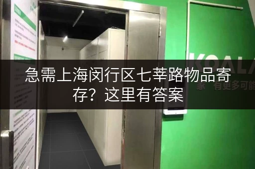 急需上海闵行区七莘路物品寄存？这里有答案