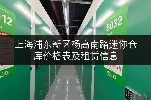 上海浦东新区杨高南路迷你仓库价格表及租赁信息