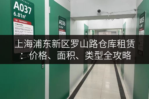 上海浦东新区罗山路仓库租赁：价格、面积、类型全攻略