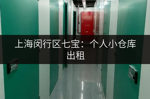 上海闵行区七宝：个人小仓库出租，低价优惠，拎包入住！