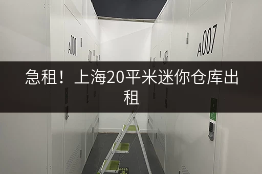 急租！上海20平米迷你仓库出租，适合小生意！