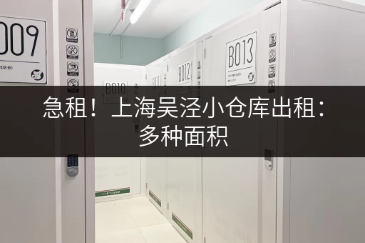 急租！上海吴泾小仓库出租：多种面积，灵活租赁，拎包入住