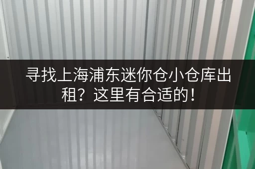 寻找上海浦东迷你仓小仓库出租?这里有合适的! 寻找上海浦东迷你仓小仓库出租?这里有合适的!