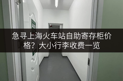 急寻上海火车站自助寄存柜价格？大小行李收费一览
