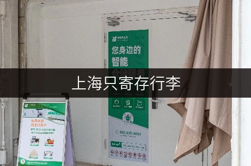 上海只寄存行李，哪家服务好又便宜？